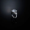 CHIARA FERRAGNI J19AVU06016 Ασημένιο Δαχτυλίδι Με Πέτρες