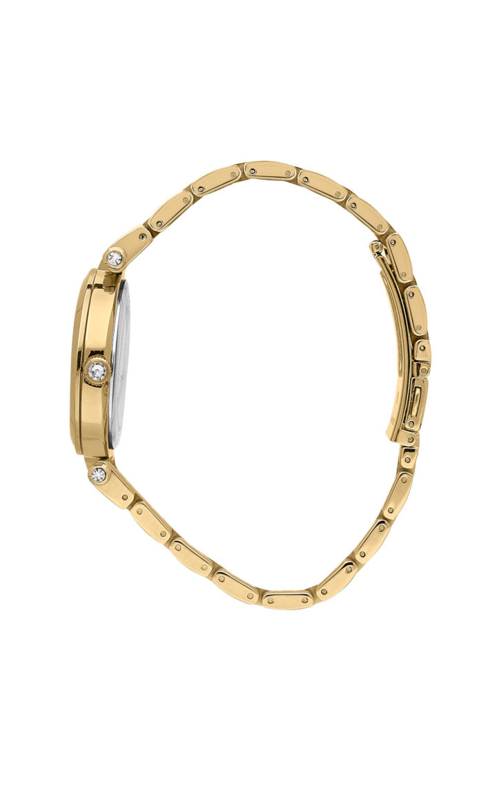 CHIARA FERRAGNI LADY LIKE R1953103504 Γυναικείο Ρολόι Quartz Ακριβείας 2