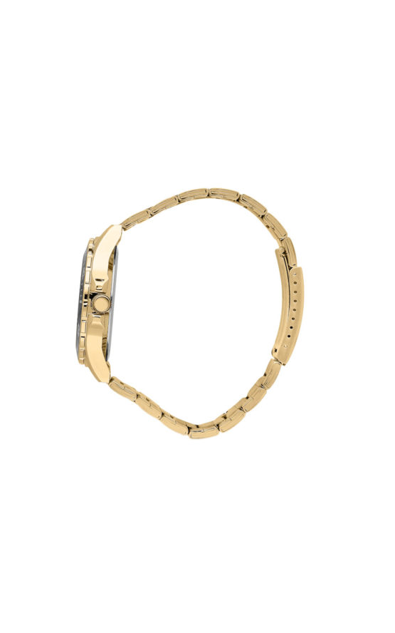 CHRONOSTAR CAPTAIN R3753291001 Ανδρικό Ρολόι Quartz Ακριβείας 2