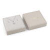 GUESS STEEL RADIOSA JUBS06064JWRHT/U Κουτάκι Με Ασημένιο Κολιέ Και Σκουλαρίκια