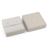 GUESS STEEL RADIOSA JUBS06065JWRHS Κουτάκι Με Ασημένιο Βραχιόλι Και Σκουλαρίκια